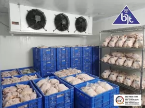 Freezer room storage freezer temperature kapasitas 5 ton